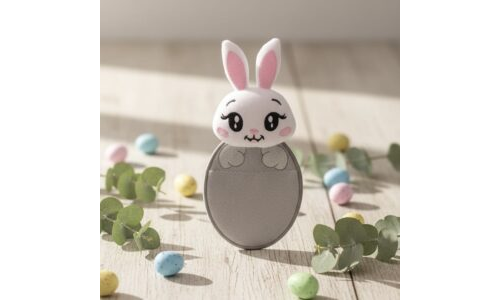 Projeto Coelhinho | Live Aula